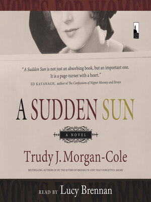 cover image of A Sudden Sun